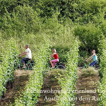 Ferienland Cochem * Bruttig-Fankel