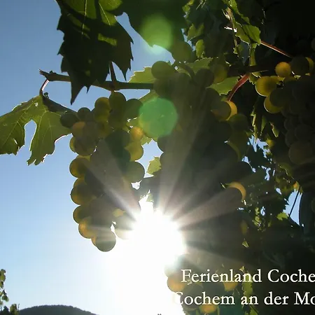 Ferienland Cochem Lägenhet Bruttig-Fankel
