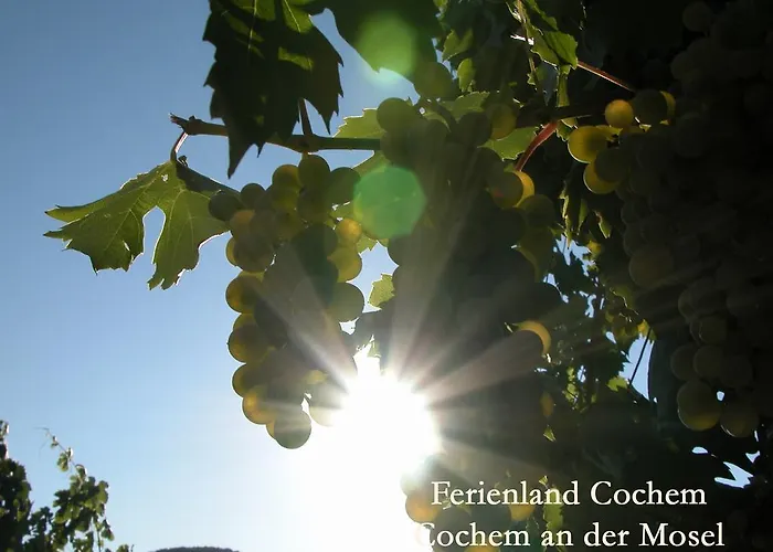 Ferienland Cochem Apartman Bruttig-Fankel